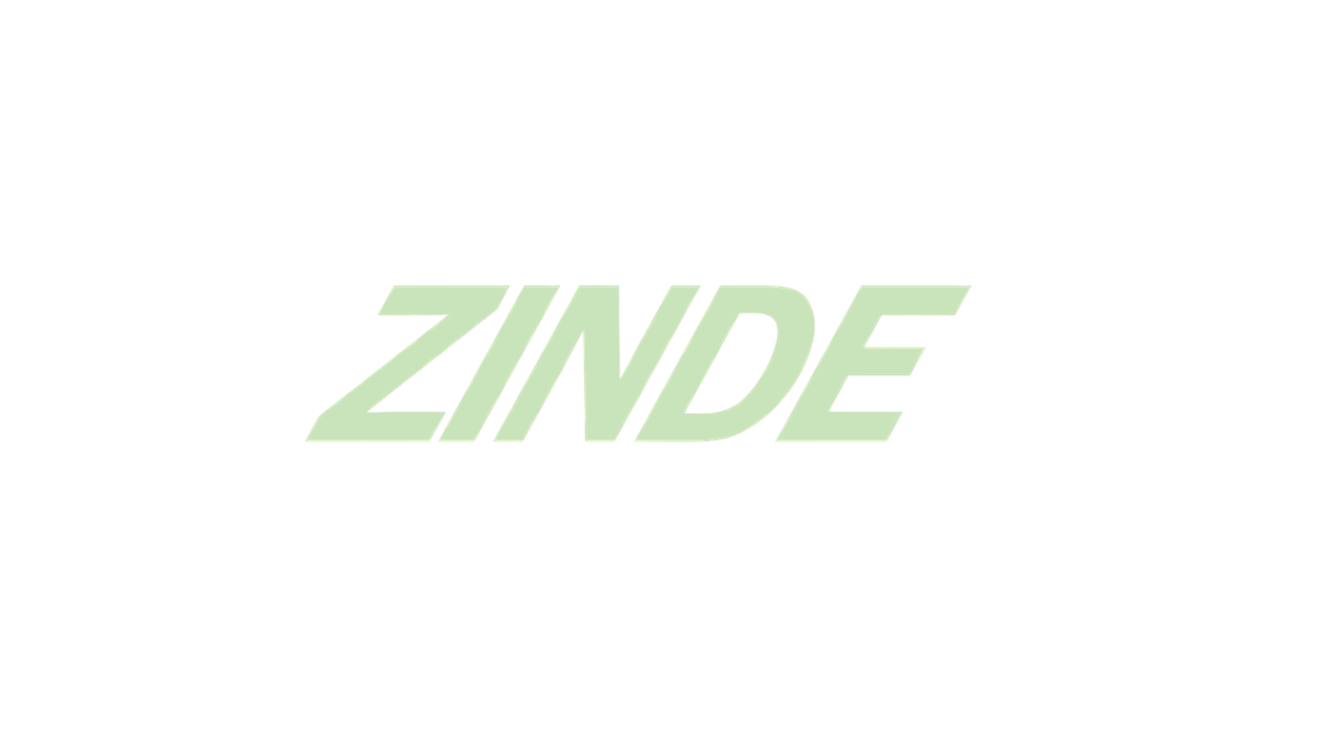 ZINDE 
